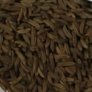 Fennel(சோம்பு)