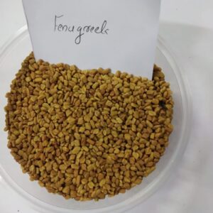Fenugreek (வெந்தயம்)