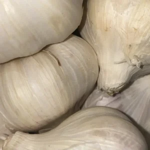 Hill Garlic (மலை பூண்டு)