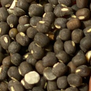 Organic Black Urad Dal (கருப்பு உளுந்து)