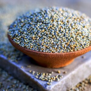Pearl millet - bajra (கம்பு) native variety
