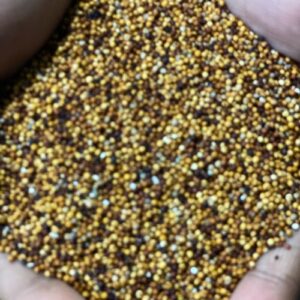 Ragi (கேழ்விரகு) native variety