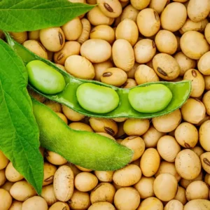 Soya Bean ( சோயா பீன் )