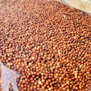 Sprouted ragi flour ( முளைகட்டிய கேழ்வரகு மாவு )