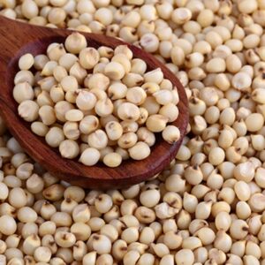 White sorghum(சொர்கம்)
