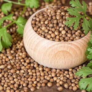 Native coriander seeds
